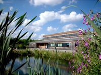 Image 5 of Painting Workshop at Idle Valley Nature Reserve