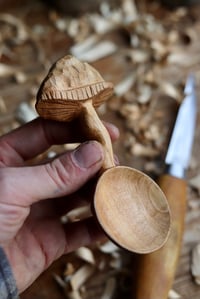 Image 4 of Mushroom Scoop.
