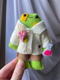Image 1 of Coal the Chemist Frog