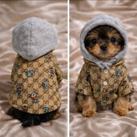 Image 2 of DOG JACKET