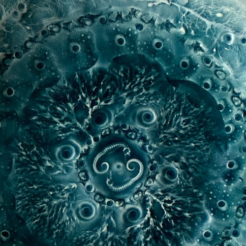 Image of Rockpool plates D