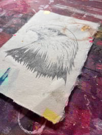 Image 4 of Eagle Study#1