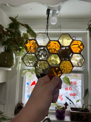 Honeycomb with Milkweed and Calendula flowers