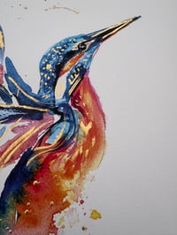 Image 4 of King Fisher Flight