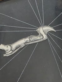Image 3 of ANTIQUE ANATOMICAL ANIMAL COLLECTION - & Preserved web 4