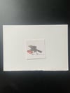 Originalzeichnung Tusche und Aquarell auf Papier  "Amsel"