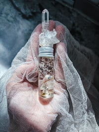 Image 1 of 3/3 payment reserved !! Newborn Parakeet  