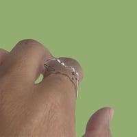 Image 1 of Pajaros en la montaña ring