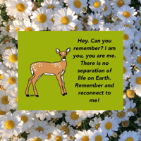 Image 1 of animist doe sticker 