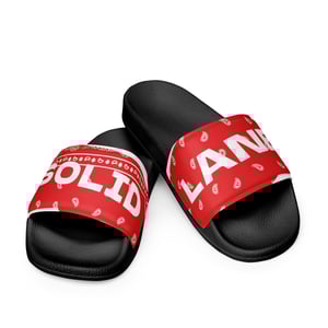 Image of Red Paisley Slides 