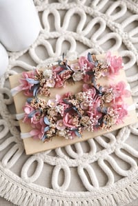 Image 4 of Mini halo Sienna