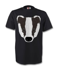 Image 2 of Badgers