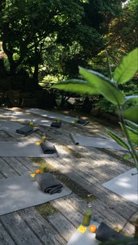Image 2 of Japanese Garden Mini Sanctuary Session 