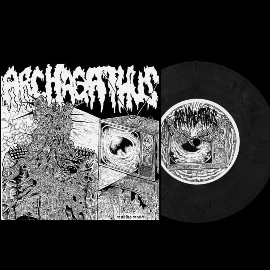 Archagathus / Cystoblastosis - Split 7" vinyl
