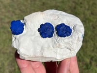 Image 10 of Azurite Suns On Matrix Specimen | NT Australia #2973