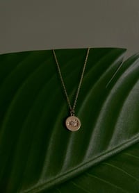 Image 1 of Evil Eye