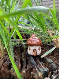 Image 2 of Little Acorn House or Leaf House