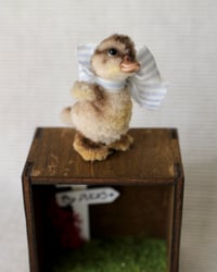 Image 2 of pipe cleaner Otto the duckling