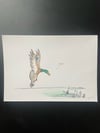 Originalzeichnung Tusche und Aquarell auf Papier  "Erpel"