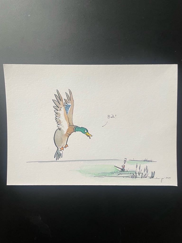 Originalzeichnung Tusche und Aquarell auf Papier  "Erpel"