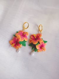 Image 1 of Hibiscus Paradise