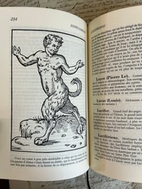 Image 17 of Le dictionnaire de l’occulter de la magie d’Yvan Galikoff, Édition luxe J. de Bonnot, 1992.