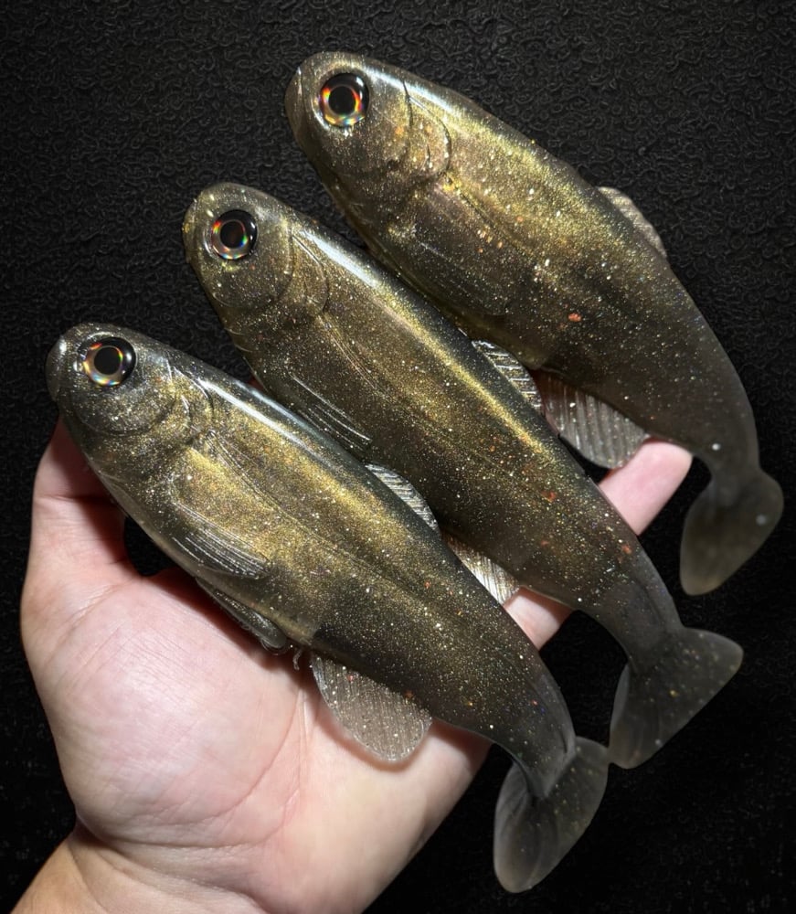 Roma Trout - Carp Shiner - Image 4