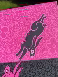 Image 2 of Dual Rabbits
