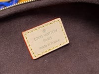 Image 13 of LV Mini Bumbag