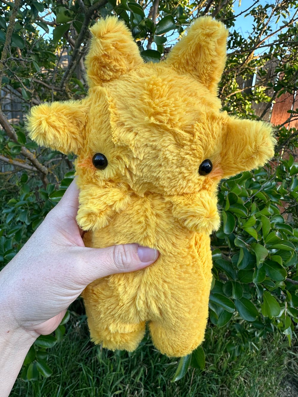 Image of Sun baby preorder