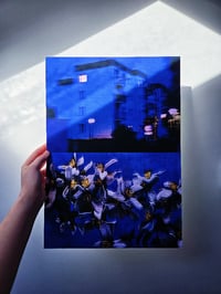 Image 2 of MIDNIGHT BLUE 