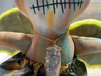 Image 1 of Lieabeillia