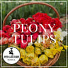 Mother’s Day Peony Tulip Bouquets (May 9 + 10)