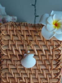 Image 4 of Classic Scallop Shell Necklace 
