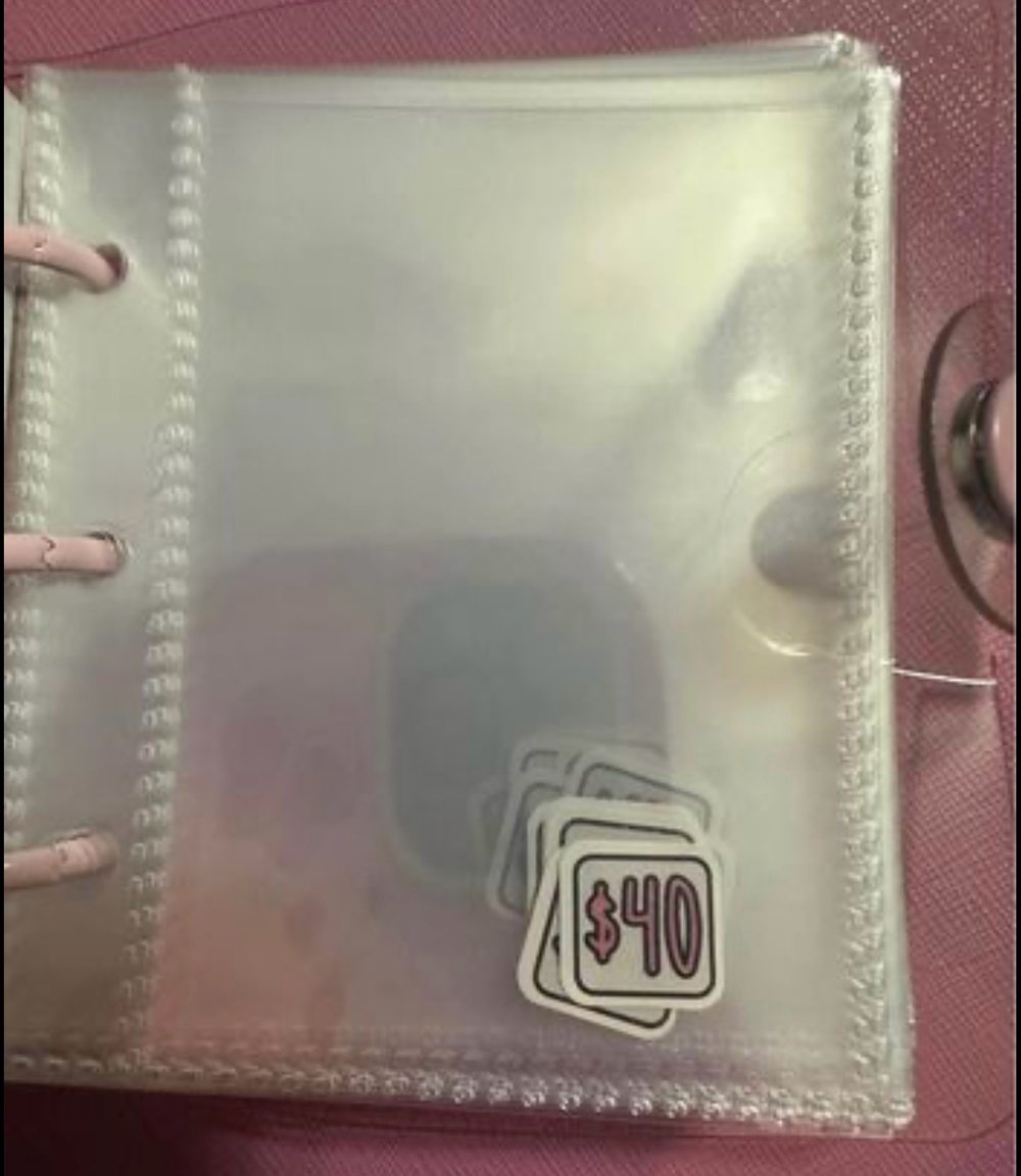 Image of Pink Binder Savings Challenge $1000 Save Money Debt Free