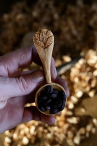 Image 1 of Autumn Leaves Coffee Scoop ~~~