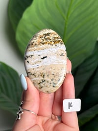 Image 11 of CHOOSE YOUR OWN ORBICULAR VEINLESS OCEAN JASPER PALM STONES -MADAGASCAR- 