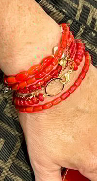 Image 3 of Coralissime