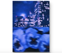 Image 1 of PANSY, NIGHT DRIVE