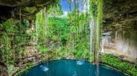 Image 2 of Cenote Vibes