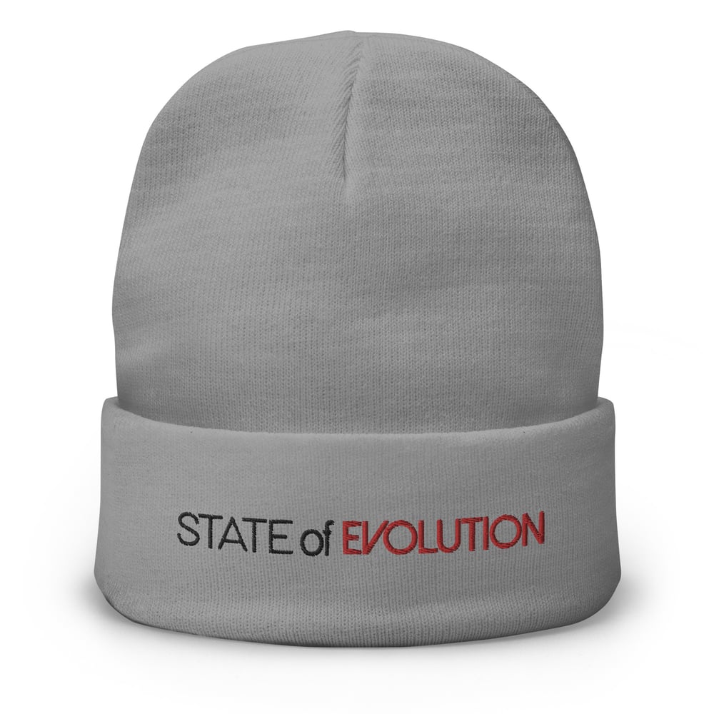Image of State of Evolution-Embroidered Beanie