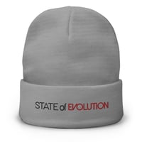 Image 2 of State of Evolution-Embroidered Beanie