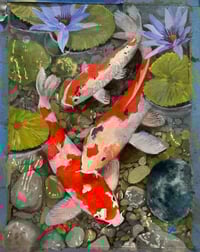 Image 4 of Pink Fish Tank