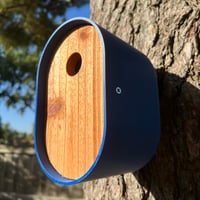 Image 3 of The Modern Blue Birdhouse