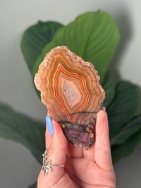 Image 1 of DOUBLE SIDED LAGUNA AGATE SLICE WITH PARALAX K