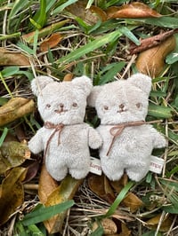 Image 1 of Tiny bears