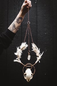 Image 1 of Cat Skull Hanger