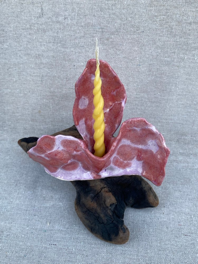 Image of Altar Resguardo 