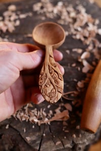 Image 3 of  Oak Tree Coffee Scoop 