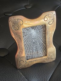 Image 2 of Small Framed Preserved Web A